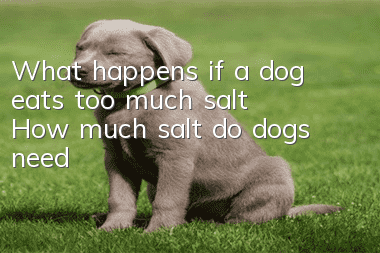 What happens if a dog eats too much salt? How much salt do dogs need?