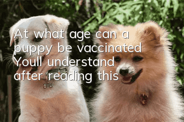 At what age can a puppy be vaccinated? You’ll understand after reading this!