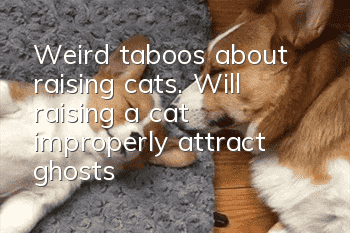 Weird taboos about raising cats. Will raising a cat improperly attract ghosts?
