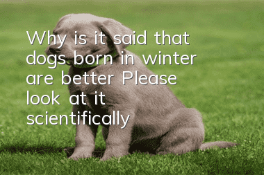 Why is it said that dogs born in winter are better? Please look at it scientifically!