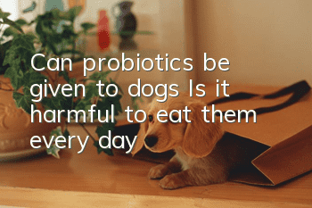 Can probiotics be given to dogs? Is it harmful to eat them every day?