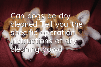 Can dogs be dry cleaned? Tell you the specific operation instructions of dry cleaning powder!
