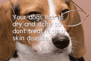 Your dog’s hair is dry and itchy, so don’t treat it as a skin disease.