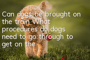 Can dogs be brought on the train? What procedures do dogs need to go through to get on the train?