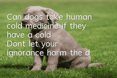 Can dogs take human cold medicine if they have a cold? Don't let your ignorance harm the dog!