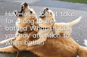 How long does it take for a dog to be bathed? What should you pay attention to when bathing a puppy?