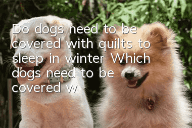 Do dogs need to be covered with quilts to sleep in winter? Which dogs need to be covered with quilts?