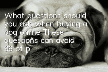 What questions should you ask when buying a dog online? These questions can avoid 99% of pitfalls