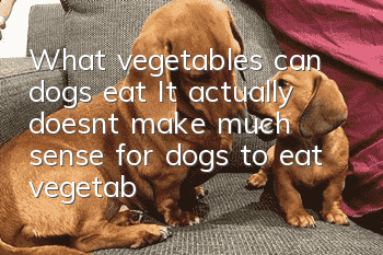 What vegetables can dogs eat? It actually doesn’t make much sense for dogs to eat vegetables!