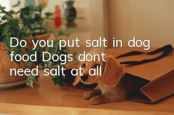 Do you put salt in dog food? Dogs don’t need salt at all!