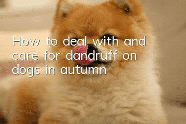 How to deal with and care for dandruff on dogs in autumn