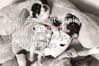 Can dogs eat apples? There are many benefits to dogs eating apples!