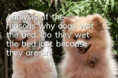 Analysis of the reasons why dogs wet the bed. Do they wet the bed just because they are on their menstrual period?