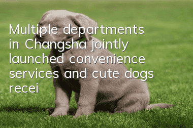 Multiple departments in Changsha jointly launched convenience services and cute dogs received electronic ID cards