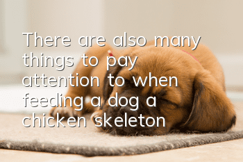 There are also many things to pay attention to when feeding a dog a chicken skeleton!