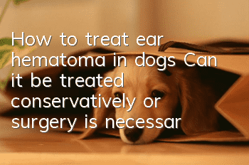 How to treat ear hematoma in dogs? Can it be treated conservatively or surgery is necessary?