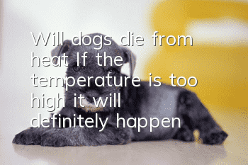Will dogs die from heat? If the temperature is too high, it will definitely happen!
