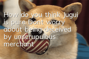 How do you think Jugui is pure? Don’t worry about being deceived by unscrupulous merchants again!