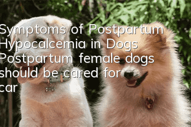 Symptoms of Postpartum Hypocalcemia in Dogs Postpartum female dogs should be cared for carefully!