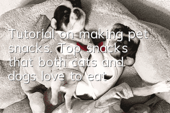 Tutorial on making pet snacks. Top snacks that both cats and dogs love to eat!