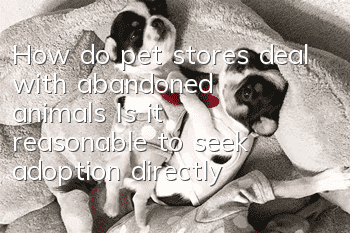 How do pet stores deal with abandoned animals? Is it reasonable to seek adoption directly?