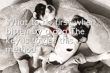 What to do first when bitten by a dog? The key is to get this method!