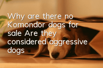 Why are there no Komondor dogs for sale? Are they considered aggressive dogs?
