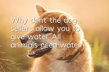 Why don’t the dog sellers allow you to give water? All animals need water!