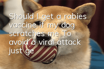 Should I get a rabies vaccine if my dog scratches me? To avoid a viral attack, just get one!