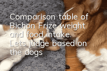 Comparison table of Bichon Frize weight and food intake. Let’s judge based on the dog’s weight.