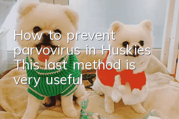 How to prevent parvovirus in Huskies? This last method is very useful!