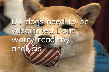 Do dogs need to be vaccinated? Don't worry, read my analysis