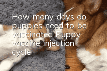 How many days do puppies need to be vaccinated? Puppy vaccine injection cycle