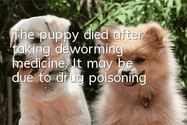 The puppy died after taking deworming medicine. It may be due to drug poisoning!