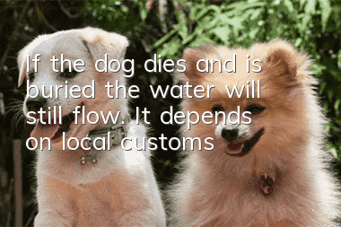 If the dog dies and is buried, the water will still flow. It depends on local customs!