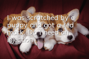 I was scratched by a puppy and got a red mark. Do I need an injection?
