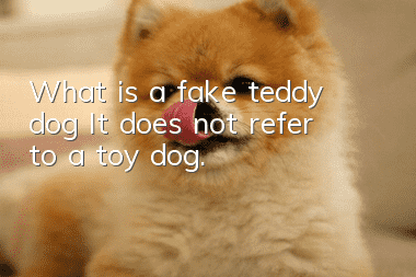 What is a fake teddy dog? It does not refer to a toy dog.