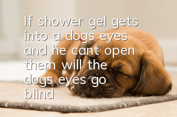 If shower gel gets into a dog's eyes and he can't open them, will the dog's eyes go blind?