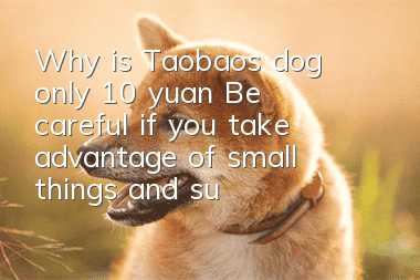Why is Taobao’s dog only 10 yuan? Be careful if you take advantage of small things and suffer big losses!