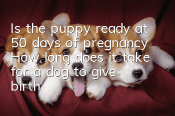 Is the puppy ready at 50 days of pregnancy? How long does it take for a dog to give birth?