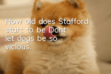 How old does Stafford start to be? Don’t let dogs be so vicious.