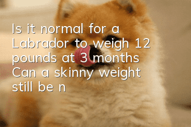 Is it normal for a Labrador to weigh 12 pounds at 3 months? Can a skinny weight still be normal?