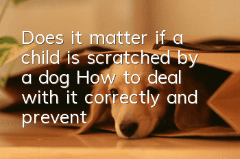 Does it matter if a child is scratched by a dog? How to deal with it correctly and prevent it?
