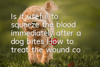 Is it useful to squeeze the blood immediately after a dog bites? How to treat the wound correctly?