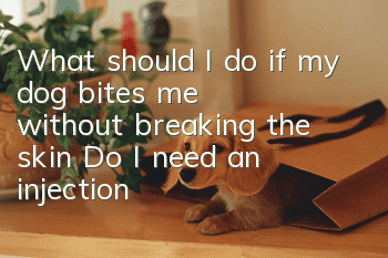 What should I do if my dog bites me without breaking the skin? Do I need an injection?