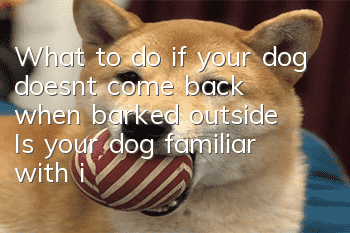 What to do if your dog doesn’t come back when barked outside? Is your dog familiar with its own name?