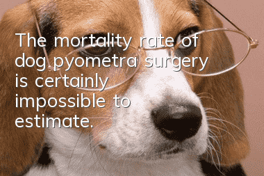 The mortality rate of dog pyometra surgery is certainly impossible to estimate.