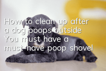 How to clean up after a dog poops outside? You must have a must-have poop shovel!