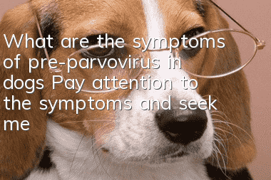 What are the symptoms of pre-parvovirus in dogs? Pay attention to the symptoms and seek medical attention promptly!