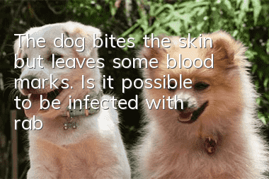 The dog bites the skin but leaves some blood marks. Is it possible to be infected with rabies?